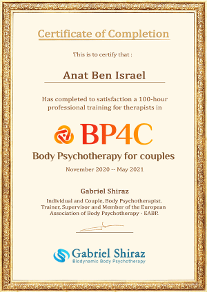 BP4C-certificate